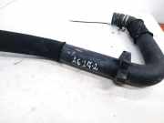 Kühlerschlauch Citroen Evasion, I 1994.01 - 2002.12 Gebraucht,
