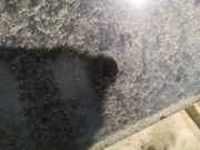 Waschwasserdüse Scheibenreinigung SAAB 9-3, 1998.02 - 2002.09 Gebraucht,