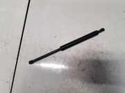 Gasdruckfeder Kofferraum BMW X4, 2014.03 - 2018 2K0883169B,2K0883169B