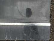 Zierleiste Tür Zier-Schutzleiste - Vorne Linke Skoda Superb, II 2008.03 - 2013.06 Gebraucht,