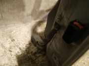 T?rfangband T?rbremse T?rstopper - Vorne Linke Opel Corsa, D 2006.07 - 2010.06 Gebraucht,