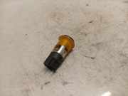 Zigarettenanzünder Renault Megane, II 2002.11 - 2006.06 739412v,