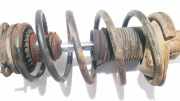 Fahrwerksfeder vorne Ford Transit Connect 2002.06 - 2008.12 Gebraucht,