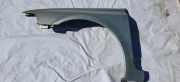 Kotfl?gel - Vorne Linke Renault Laguna, II 2001.03 - 2006.05 Gebraucht,