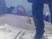 Waschwasserdüse Scheibenreinigung Rover 45, 2000.02 - 2005.05 Gebraucht,