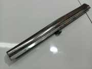 Einstiegsleiste vorne links Mercedes-Benz C219, I 2004.10 - 2011.01 A2196800535,A 219 680 05 35