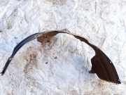 Radhausschale - Vorne Rechts Mazda Demio, II 2000.01 - 2003.12 d201,