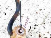 Stabilisator Stabi Hinten Hinterachse Fiat Ducato, 2002.04 - 2006.07 Gebraucht,