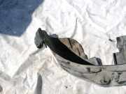 Radhausschale - Hinten Rechts Volkswagen Passat, B5 1996.08 - 2000.11 3B9810972B, AFN