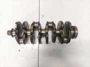 Kurbelwelle Skoda Octavia, II 2004.02 - 2009.03 Gebraucht,