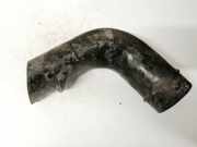 Schlauch für Luftversorgung Renault Megane, III 2008.11 - 2012.06 1032198s01,