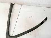 Zierleiste Leiste - Vorne Rechts Renault Scenic, II 2003.06 - 2006.06 8200239279,