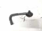 Ventil Kurbelgehäuseentlüftung Renault Megane, II 2002.11 - 2006.06 1320203,