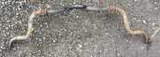 Stabilisator Vorne Toyota Avensis Verso, 2001.08 - 2009.11 Gebraucht,
