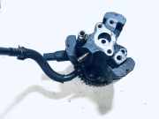 Kraftstoffpumpe Citroen Xantia, I 1998.01 - 2003.04 facelift 0445010010, 96209b 01329