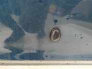 Waschwasserdüse Scheibenreinigung Nissan Almera Tino 2000.08 - 2003.09 Gebraucht,