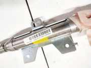 Sicherheitsmodul Seitenverkleidung Subaru Forester, III 2008.01 - 2012,12 WN41M019856,