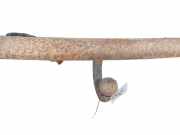 Anhängerkupplung Ford Galaxy, Mk I 1995.03 - 2000.04 Gebraucht,