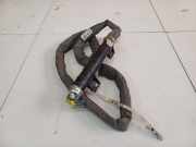 Kopfairbag - Vorne Linke Renault Laguna, II 2001.03 - 2006.05 8200281640, 8200281640 YC515