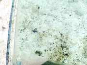 Seitenscheibe - Vorne Rechts Nissan X-Trail, 2001.06 - 2007.06 as2,