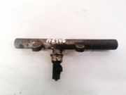 Kraftstoffverteiler Nissan NV200, M20 2009 --> H8200701690,R9144Z221A