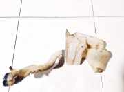 Scheibenwaschbehälter Vorne Wischwasserbehälter Citroen Berlingo, I 2002.11 - 2008.04 facelift 9647190280,96471901803523800008