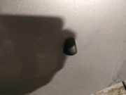Waschwasserdüse Scheibenreinigung Mazda 5, CR 2005.02 - 2010.09 Gebraucht,