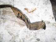 Radhausschale - Vorne Rechts Volkswagen Passat, B3 1988.03 - 1993.07 357809962,357 809 962 357809962