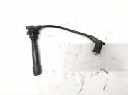 Zündkabel Hyundai Coupe, 2001.08 - 2009.08 Gebraucht ,