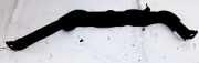 Halteband Kraftstoffbehälter Opel Astra, G 1998.09 - 2004.12 Gebraucht,