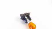 Glühbirnenfassung Blinker Renault Grand Scenic, II 2009.02 - 2013.06 Gebraucht,