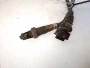 Lambdasonde -4 Drähte WEISS WEISS SCHWARZ GRAU Cadillac CTS, 2003.01 - 2007.12 Gebraucht,