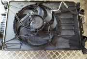 Kühlerlüfter Lüftermotor Ford Mondeo, 2007.03 - 2013.06 Gebraucht ,