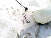 Scheibenwaschbehälter Vorne Wischwasserbehälter Dacia Sandero, I 2008.01 - 2012.03 Gebraucht ,