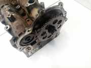 Zylinderkopf Fiat Doblo, 2009.08 --> 2a061202010102,