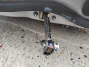 Türfangband Türbremse Türstopper - Vorne Linke Lexus IS, II 2005.10 - 2013.03 Gebraucht,