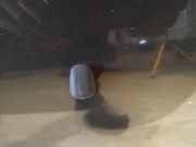 Waschwasserdüse Scheibenreinigung Mazda 5, CR 2005.02 - 2010.09 Gebraucht ,
