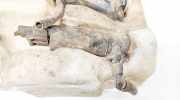 Scheinwerferwischer Opel Signum, 2003.05 - 2008.06 Gebraucht,
