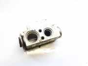 Expansionsventil für Klimaanlage Audi Q7, 2006.03 - 2010.05 7l0820679c,52423395
