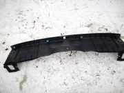 Zierleiste Lexus IS, II 2005.10 - 2013.03 6471653030, 64716-53030 64716-53040