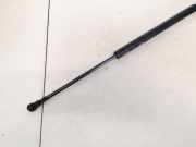 Gasfeder für Motorhaube Ford Galaxy, Mk I 2000.04 - 2006.04 facelift 7m3823359a, ym2116c826ab