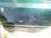 Zierleiste Tür Zier-Schutzleiste - Hinten Linke Volkswagen Vento 1991.11 - 1999.01 Gebraucht,