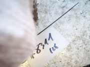 Radhausschale - Hinten Rechts BMW 5-Series, E39 1995.11 - 2003.06 51718172462, 5171-8172462