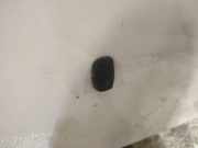 Waschwasserdüse Scheibenreinigung Ford C-MAX, 2003.01 - 2007.06 Gebraucht,