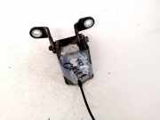 Türscharnier Vorne Opel Insignia A, 2008.01 - 2013.01 Gebraucht,