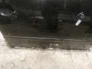 Zierleiste Tür Zier-Schutzleiste - Vorne Rechts Seat Ibiza, III 2002.02 - 2009.11 Gebraucht,