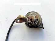 Hupe Citroen Xsara, I 1997.04 - 2000.09 e335717,ch2035-a73345 ch2035a73345