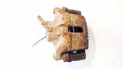 Bremssattel - Vorne Linke Renault Kangoo, 2003.05 - 2007.06 Gebraucht,