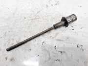 Ölpumpenrad (Riemenscheibe)(Zahnrad Riemenscheibe Ölpumpe) Volkswagen Phaeton, 2007 - 2011 facelift 059109341A, CEXA