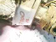 Lenkgetriebe Opel Movano A 1998 - 2010 LHD,